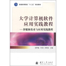 大学计算机软件应用实践教程