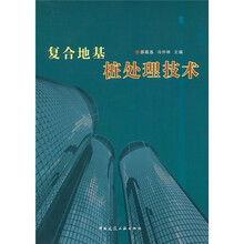 复合地基桩处理技术