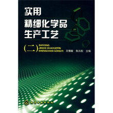 实用精细化学品生产工艺2