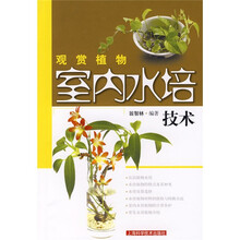 观赏植物室内水培技术