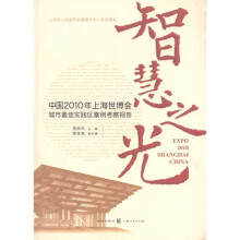 智慧之光：中国2010年上海世博会城市最佳实践区案例考察报告