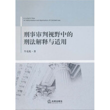 刑事审判视野中的刑法解释与适用