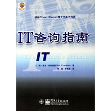 solvento IT丛书：IT咨询指南