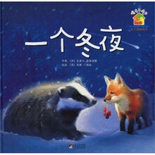 一个冬夜（精装）