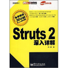 Java技术大系：Struts 2深入详解