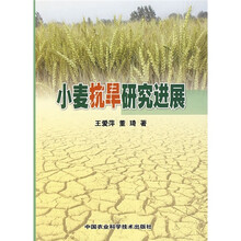 小麦抗旱研究进展
