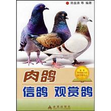 肉鸽信鸽观赏鸽