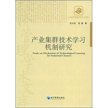 产业集群技术学习机制研究