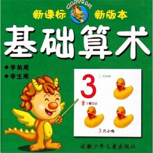 顽皮龙卡片系列:基础算术(学前用学生用)(新课标新版本)