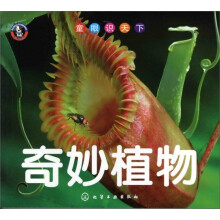 童眼识天下：奇妙植物