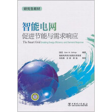 智能电网:促进节能与需求响应