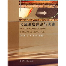 火烧油层理论与实践