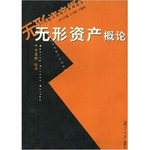 无形资产概论