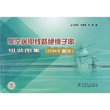 架空送电线路绝缘子串组装图集（220KV部分）