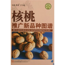 核桃推广新品种图谱