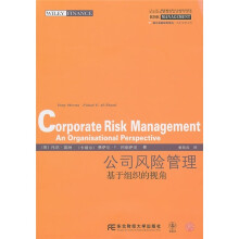 公司风险管理：基于组织的视角
