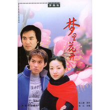 梦剧场:梦里花开