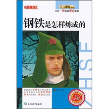 钢铁是怎样炼成的