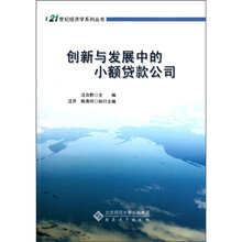 创新与发展中的小额贷款公司
