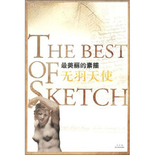 最美丽的素描：无羽天使