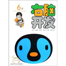 全新升级左右脑开发系列：右脑开发（6岁）