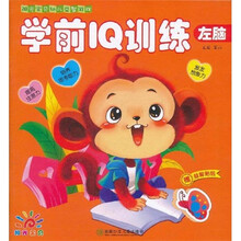 阳光宝贝幼儿益智游戏：学前IQ训练左脑