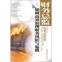 财务总监：如何高效治理财务风险与危机