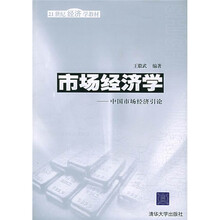21世纪经济学教材：市场经济学（中国市场经济引论）