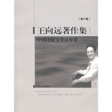 王向远著作集6：中国比较文学百年史
