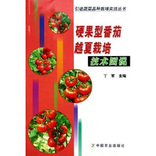 硬果型番茄越夏栽培技术图说