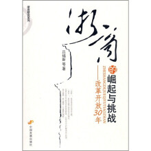 浙商的崛起与挑战：改革开放30年