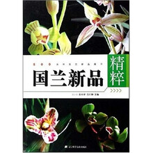 国兰新品精粹
