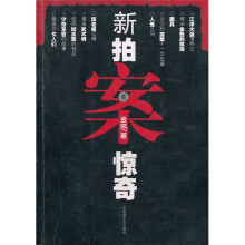 新拍案惊奇