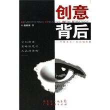 创意背后：中国本土广告企划实践