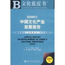 2009年中国文化产业发展报告（附VCD光盘1张）
