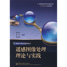 遥感图像处理理论与实践