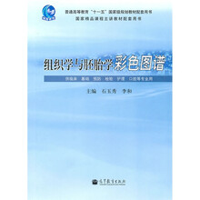 组织学与胚胎学彩色图谱
