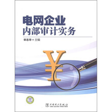 电网企业内部审计实务