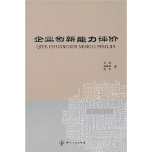 企业创新能力评价
