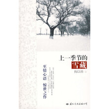 上一季节的雪藏