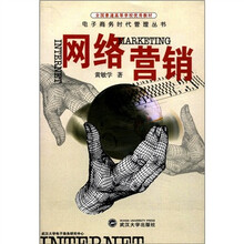 网络营销/电子商务时代管理丛书