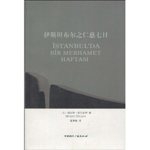 伊斯坦布尔之仁慈七日