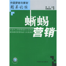 蜥蜴营销