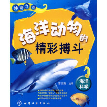 神奇之旅:海洋动物的精彩搏斗