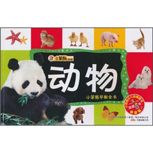 小笨熊早教全书：动物
