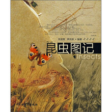 昆虫图记