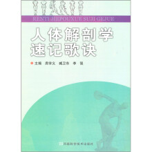 人体解剖学速记歌诀