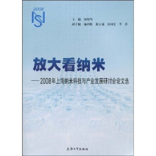 放大看纳米：2008年上海纳米科技与产业发展研讨会论文集