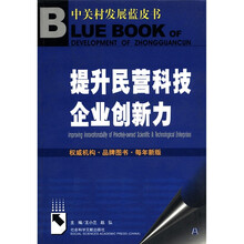 提升民营科技企业创新力/中关村发展蓝皮书