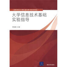 高等学校计算机基础教育教材精选:大学信息技术基础实验指导